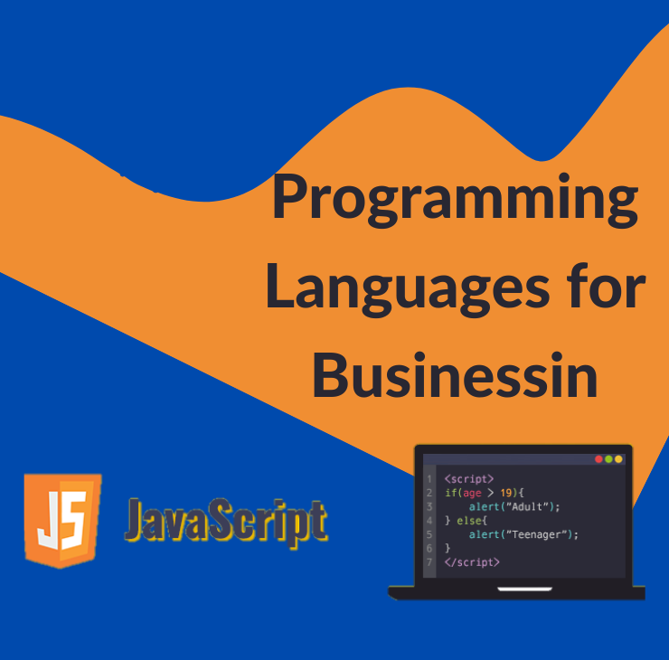 Programming Languages for Businessin